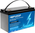 12V 100Ah lithium iron phosphate battery, BMS, maximum power 2560W, equipped with a 100A battery management system